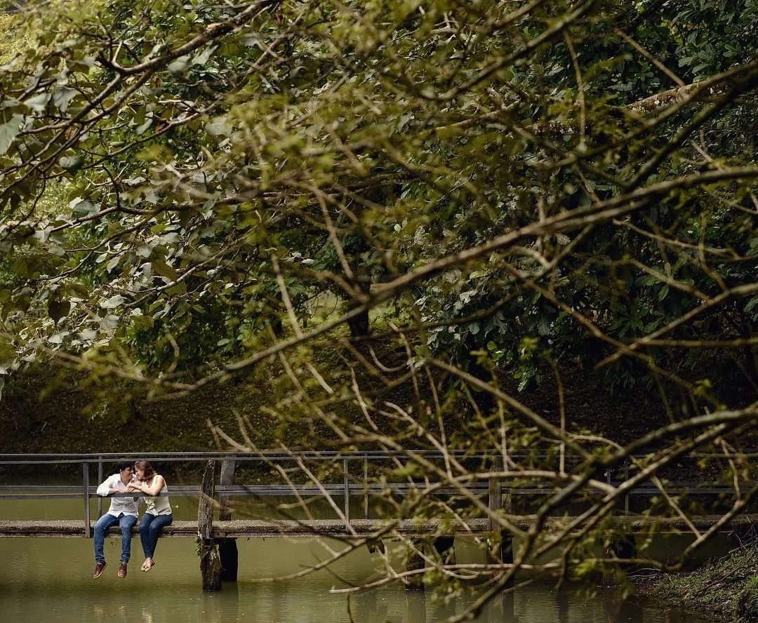 Juntos, junto al lago